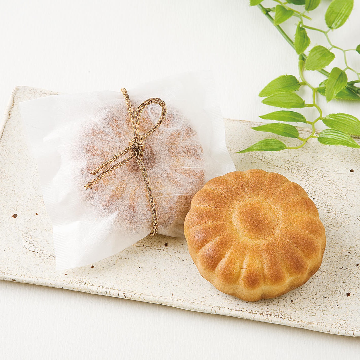 福重 | 雲竜ラミ無地ベロ付パック 3サイズ