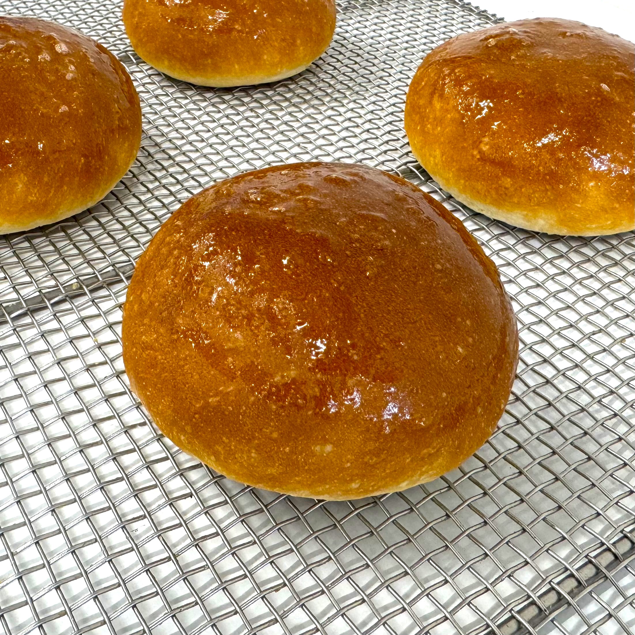 信州産小麦の冷凍バンズ