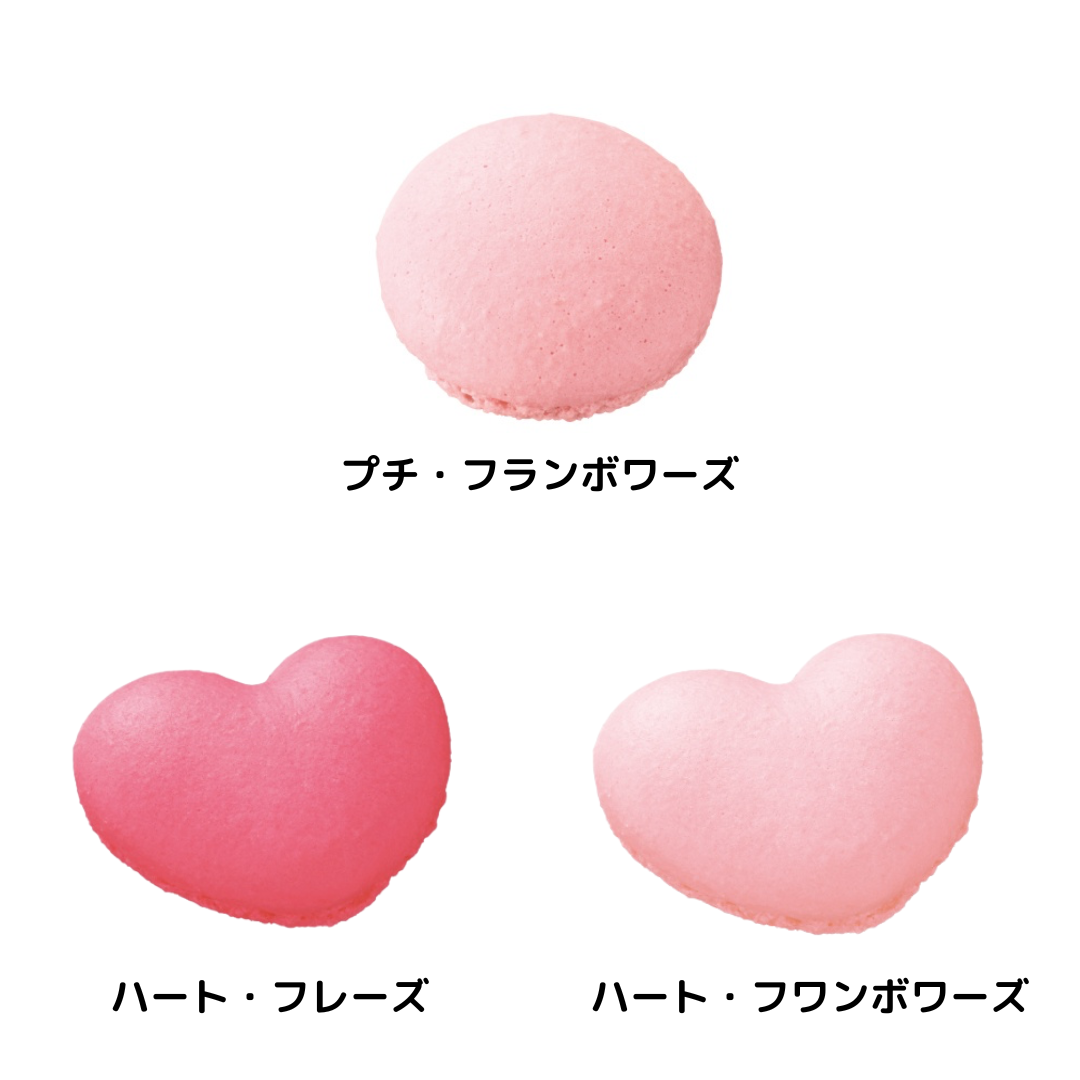 たにぐち | マカロン / 140個入