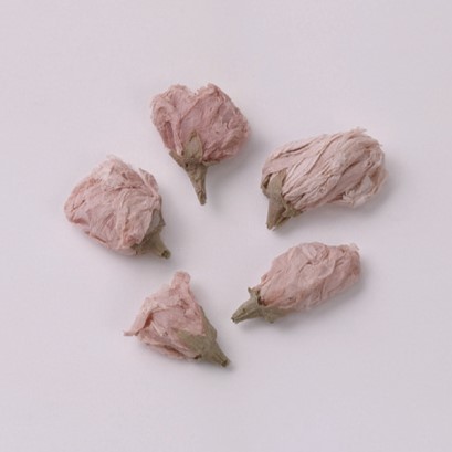 山眞産業 | 桜花FDホール